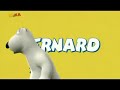 Bernard The Polar Bear Plays Baseball