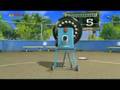 Bernard the Polar Bear plays Baseball