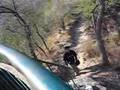Chandigarh, CATS, trek, nepli forest