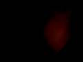 videos de Silence in the car