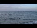 chasse sous marine plage Morj�ne(alg�rie ouest)