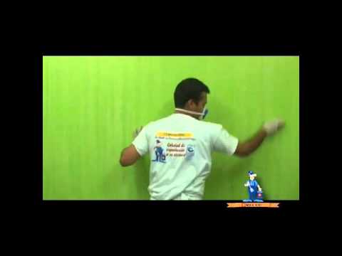 Recol Plaster Veneciano Trazado Recol Plaster Veneciano Trazado