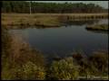 videos de Blackwater Refuge Episode 02