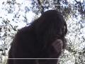 Bigfoot and Chips Part 2