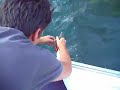Cavedano pescato a Baveno sul lago Maggiore trainando un grosso rapala, ma il forte vento quasi ci schianta contro un'altra barca