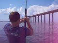 Skyway tarpon fishing Skyway tarpon fishing
