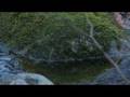 Winter Thaw -- A Film Shot on Sony XDCam EX