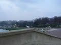 la gaviota loca