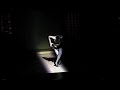 VENUS PERFORMANCE ART
