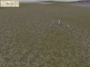 Rome Total War Online Battle #1286 Greece vs Carthage
