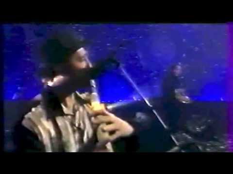 Brigitte Fontaine - Genre humain Live 1995 (Interview et extraits concert)