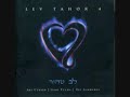 Chaveirim by lev tahor