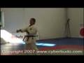 videos de Kata Sanchin, Sam Chiem y Shan Zhan.