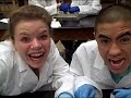 cow eye dissection