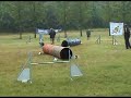 Agility Szolnok 08 - Ulm - Shana Agility Szolnok 08 - Ulm - Shana