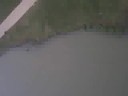 First Aerial Video
