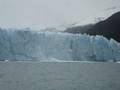 videos de Desprendimiento glaciar Spegazzini