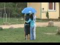 videos de English camp 