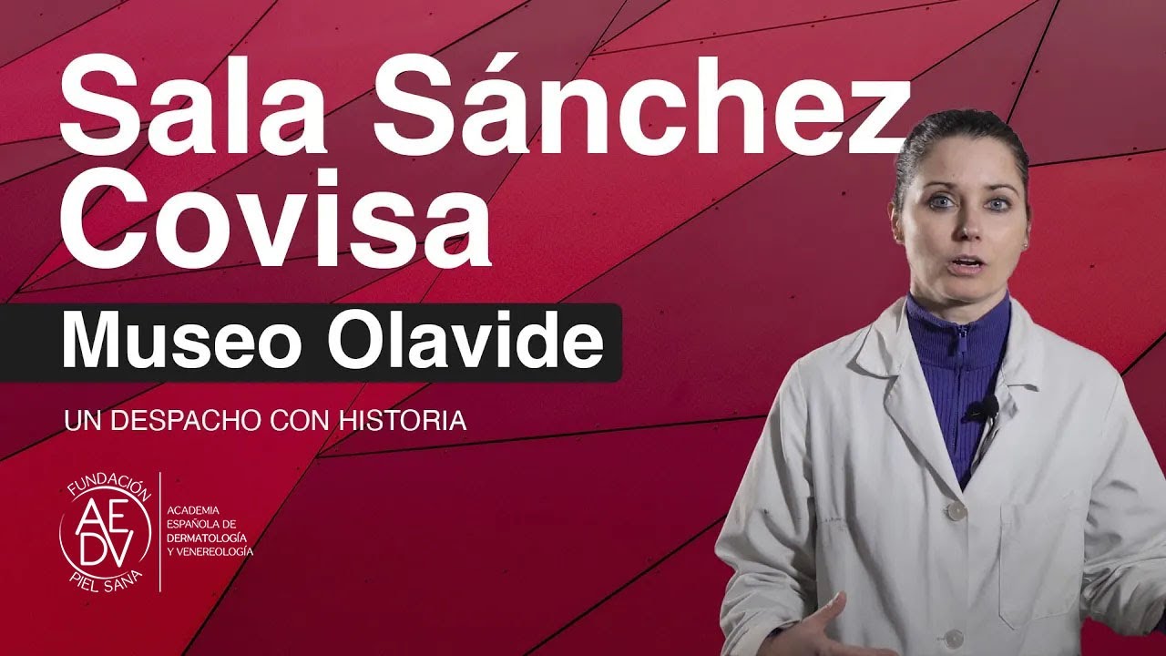 Sala Sánchez Covisa: un despacho con historia | Museo Olavide Madrid
