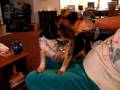 videos de wink.AVI