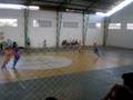 bola murcha ibnh