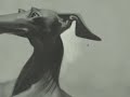 6/6- JoeBluhm paints an Animal