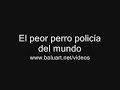 EL PEOR PERRO POLICIA DEL MUNDO