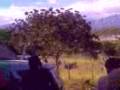 videos de HOLAncho.com Barbacoa del 1 de enero en San Pedro de Catacamas parte 1
