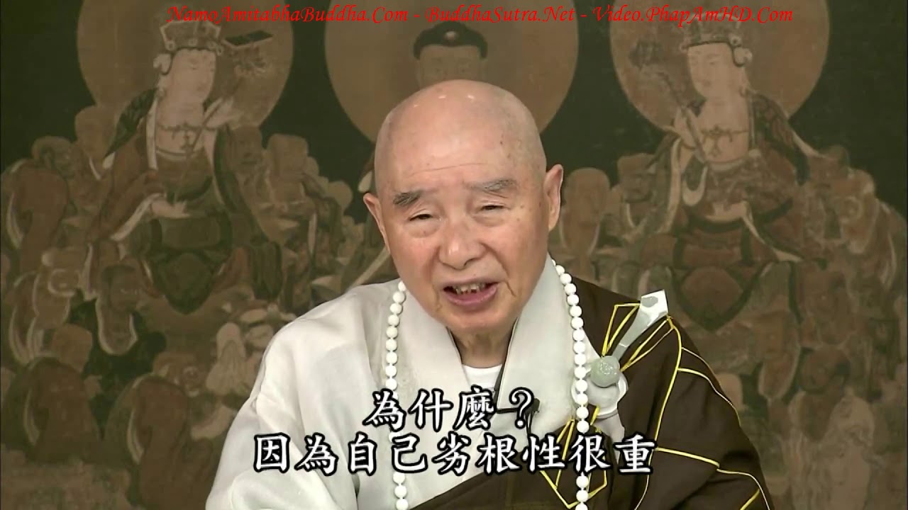 TẬP 202, Mỗi Ngày Có Bao Nhiêu Người Vãng Sanh Về Thế Giới Tây Phương Cực Lạc, Tịnh Độ Đại Kinh Giải