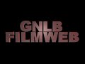 Introfilmpje Gemerts Nieuwsblad & Laarbeeker online