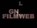 Introfilmpje Gemerts Nieuwsblad & Laarbeeker online