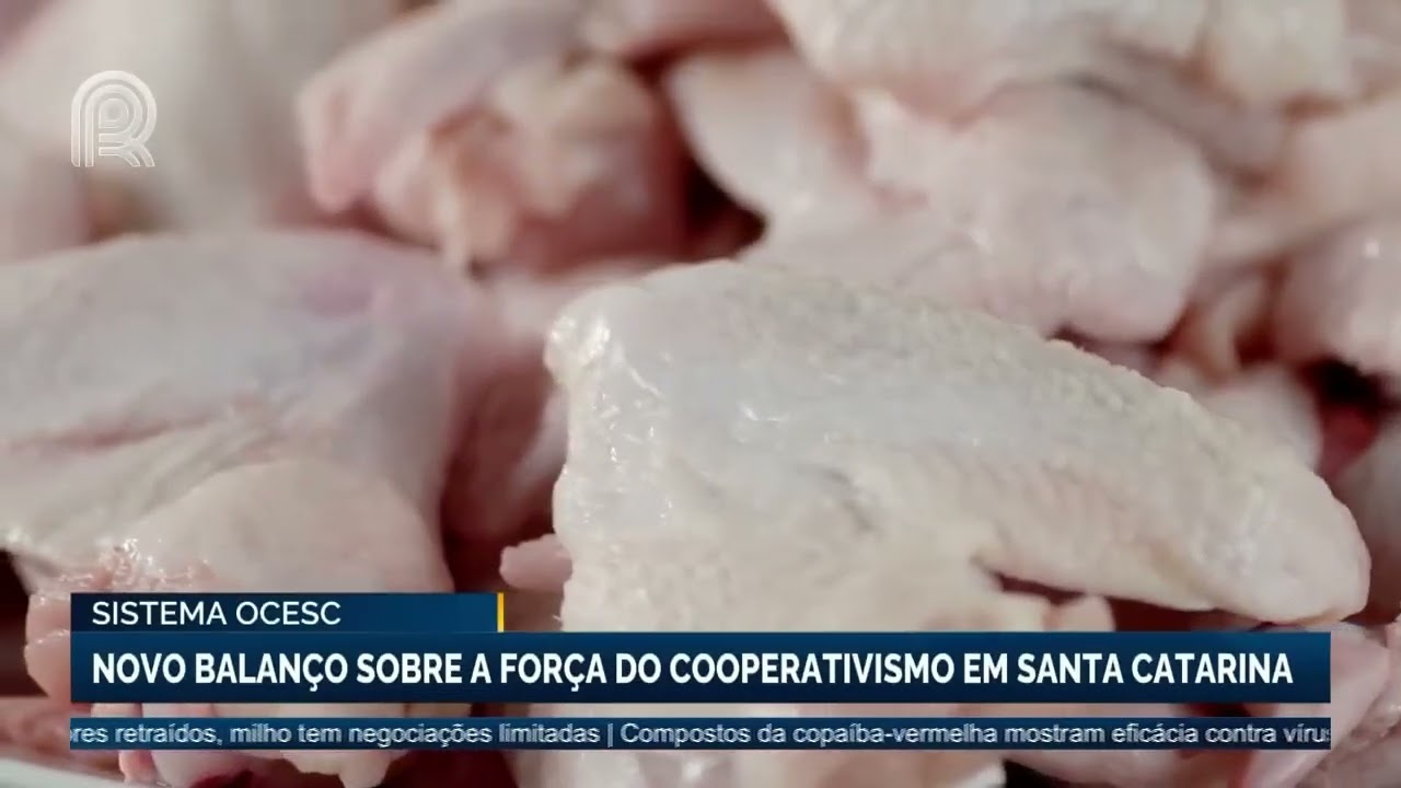 Sistema Ocesc divulga novo balanço sobre a força do cooperativismo em Santa Catarina