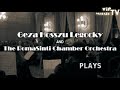 pablo de sarasate : zigeunerweisen (gypsy airs) 