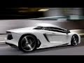 2012 Oakley Design Lamborghini Aventador LP760-2