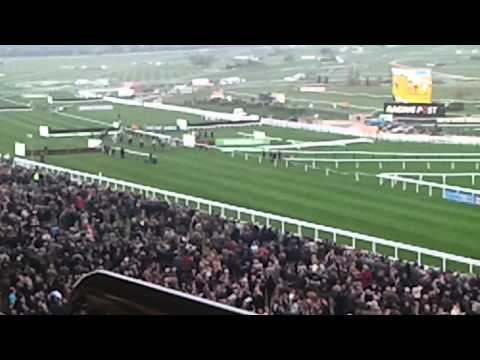 cheltenham race