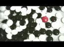 \"Black and White\" - Upgrade Democracy Entry