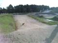 videos de kyosho i moj pies