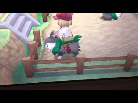 how to get more dusk stones in pokemon x