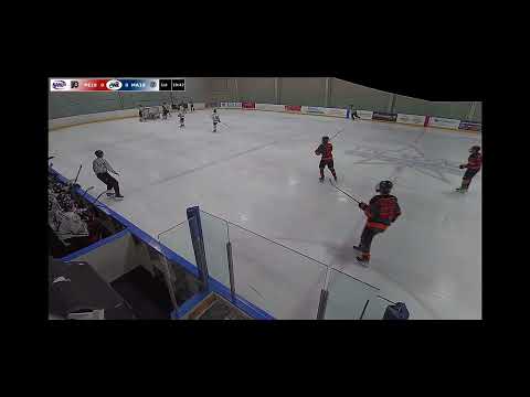 Naphl showcase 2nd goal of the weekend