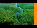 Imagine Leadership | By... View Video