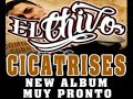 el chivo  of kinto sol  si se puede cicatrices new track!