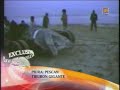 Pescadores capturan en Piura a tiburón de 8 metros El Comercio Perú