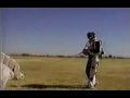 skydiving