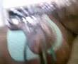 manege bentwoud