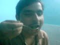 Making Of Brinjal(Baigan) Bhaja