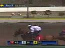 2008 Eqyss Handicap - Buddy of Mine