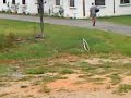 MOV00952