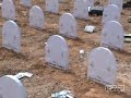 The Communication Graveyard, Luigi Pagliarini 2007