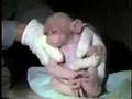 View Video