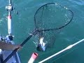 S�bastien Lord - Salmon fishing Trip To Ontario Lake